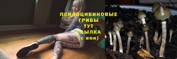 синтетический гашиш Куйбышев