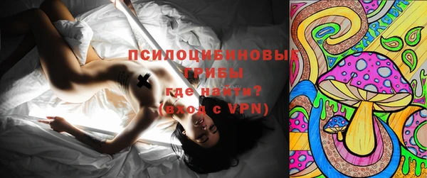 гашик Кулебаки