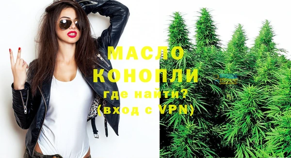 гашик Кулебаки