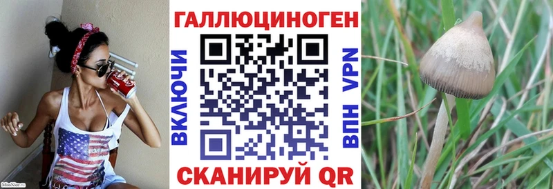 Купить где  Новая Ляля  Галлюциногенные грибы мухоморы 